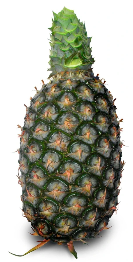 an image of a pineapple being sliced open