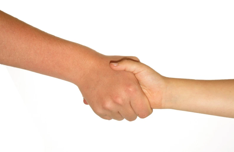 a young hand shake of two adults in white background