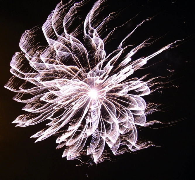 a flower made out of light shining in the dark