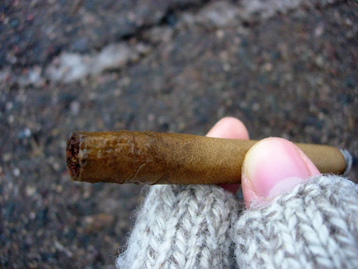 the right hand of someone holding a small cigar
