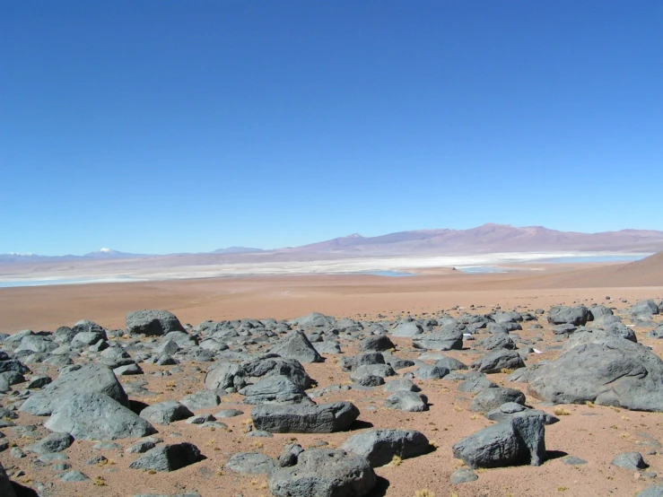 a field that has some rocks in it