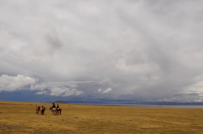 three people on horseback ride through a desert