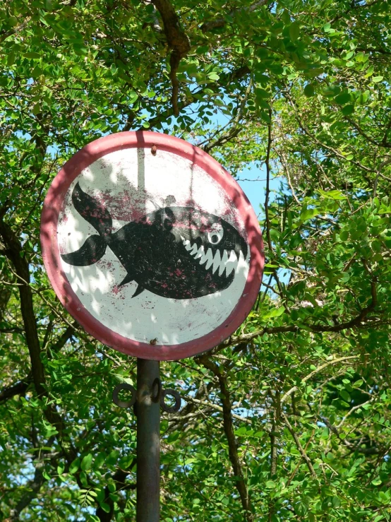 a sign on a pole reads, fish with large teeth