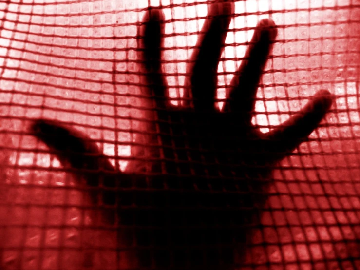 a shadow of a hand is behind mesh