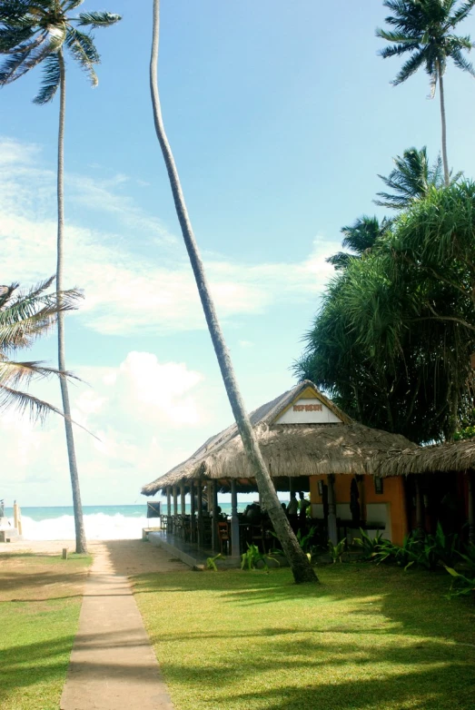 a sidewalk in the sand near some trees