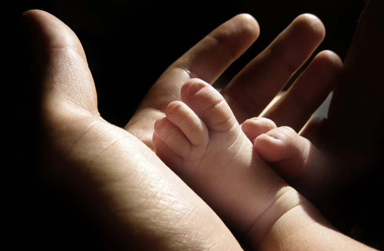 the child's hands hold the baby's hand