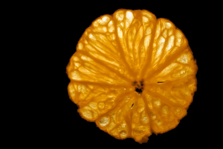 this is an orange that looks to be in a circle