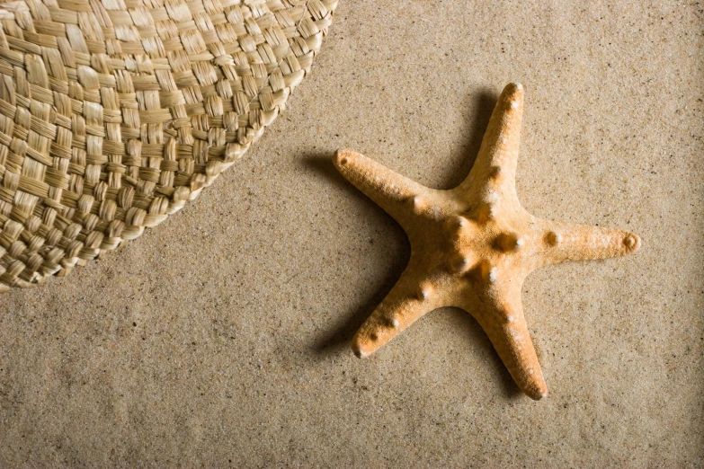 a sea star is left on the beach next to a straw hat