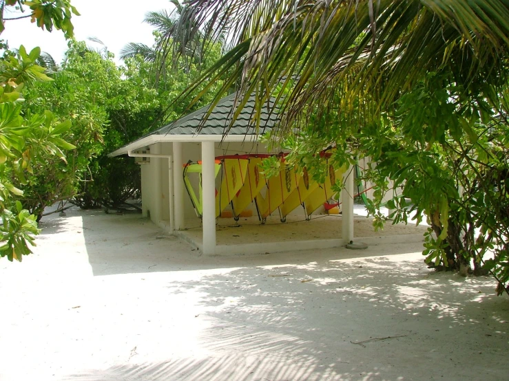 this shelter is under a palm tree and sits next to another building