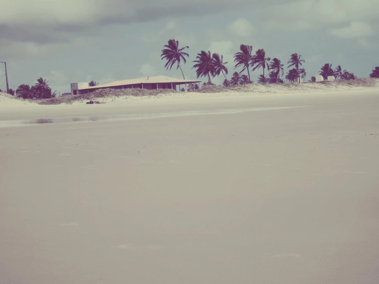 an empty beach with a house and palm trees on it