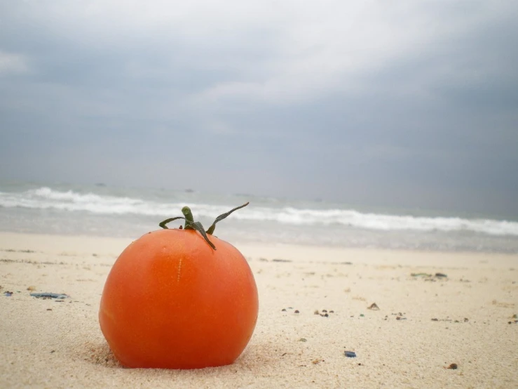 a tomato that has been placed in the sand