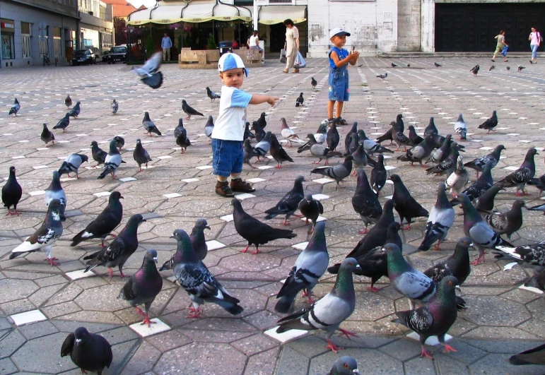 boy with a pigeon on the ground surrounded by pigeons