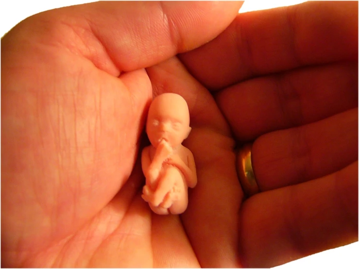 a person's hand holding an elephant ornament