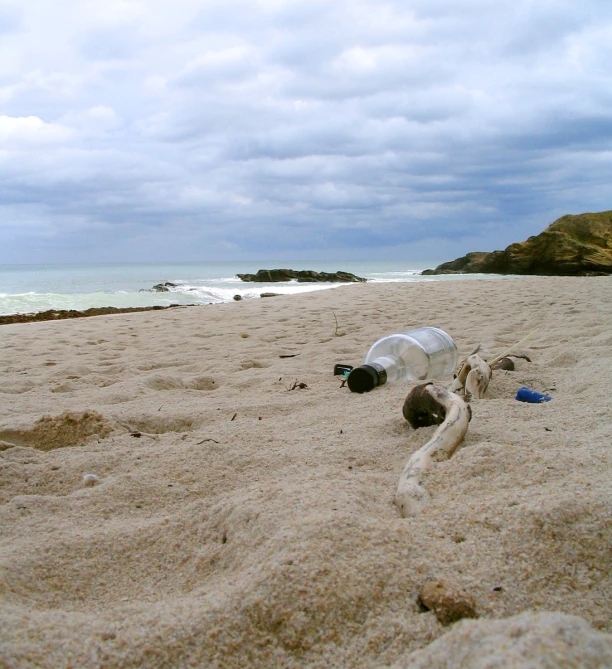 a body that is laying on the beach