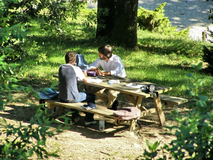 two men sitting at a picnic table in the park