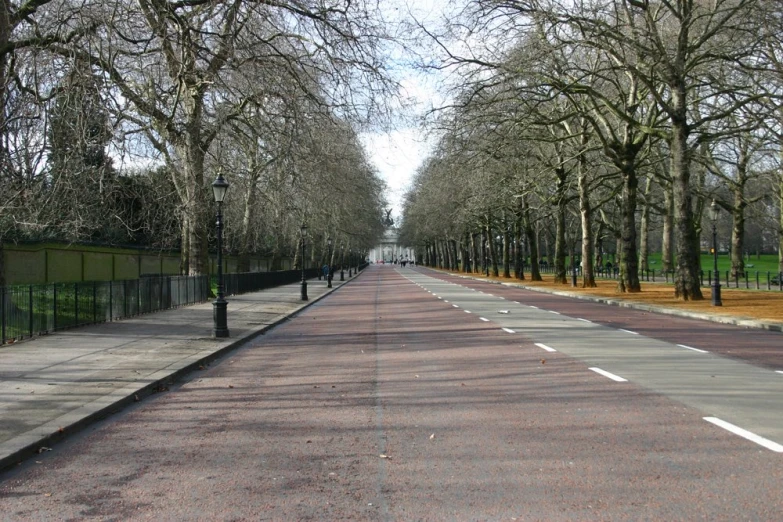 a long tree lined avenue in a city