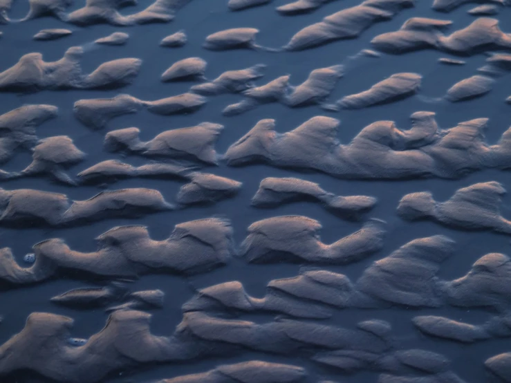 a view looking down at the surface of some ice