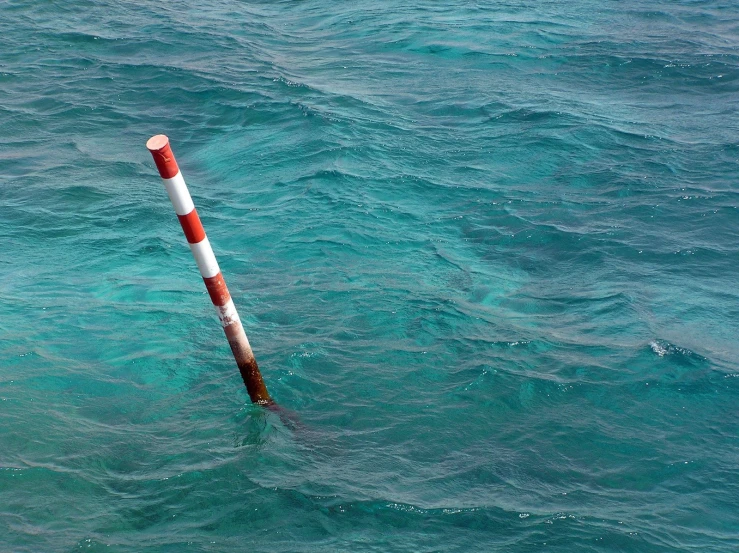 an orange and white pole sticking out of the water