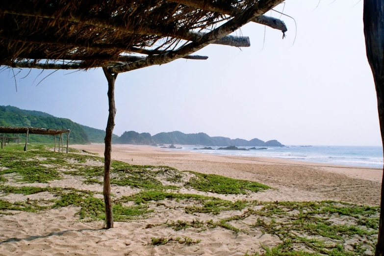 thatched over huts sit on the sand of a sandy beach