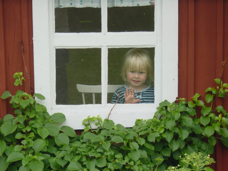 a small child looks out a window as he holds his hand up to the camera