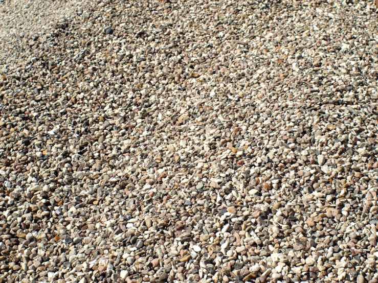 rocks on top of a dirt field