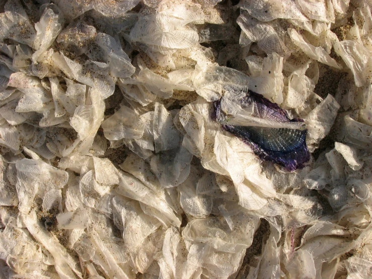 this is a close up picture of shredded paper