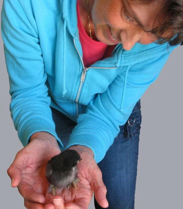 a person holds a bird in their hand