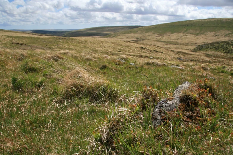 the view from across the field, looking towards a mountain