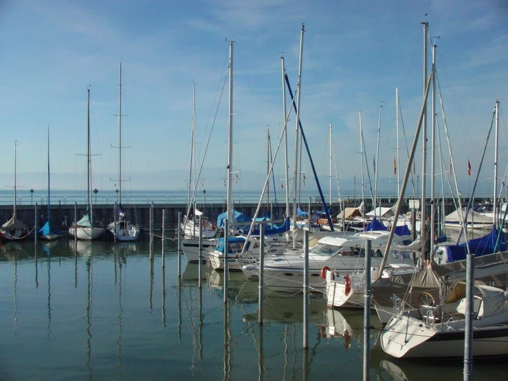 a marina filled with lots of white boats