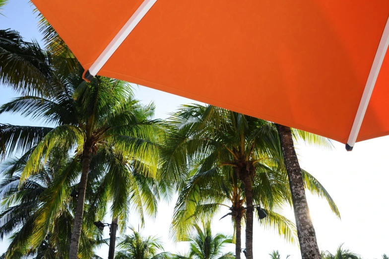 the sun is shining on this beach umbrella