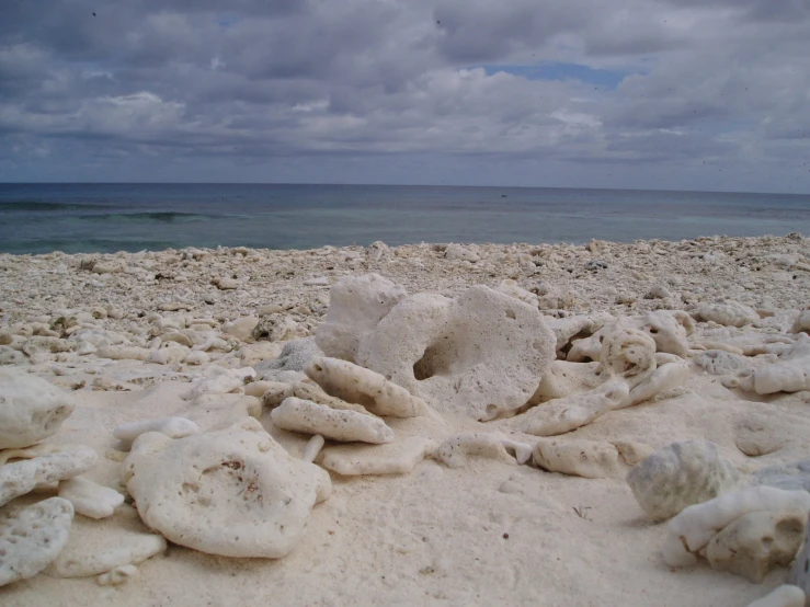 a sandy beach covered in sand and rocks