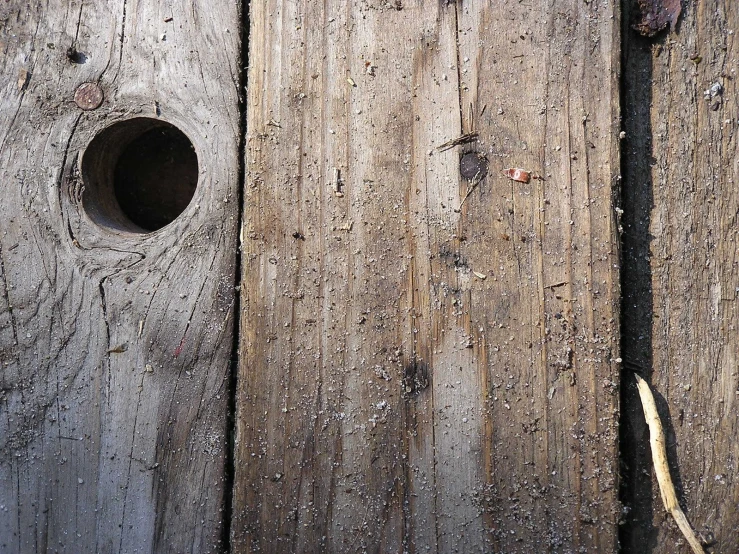 a close up s of a weathered wooden door