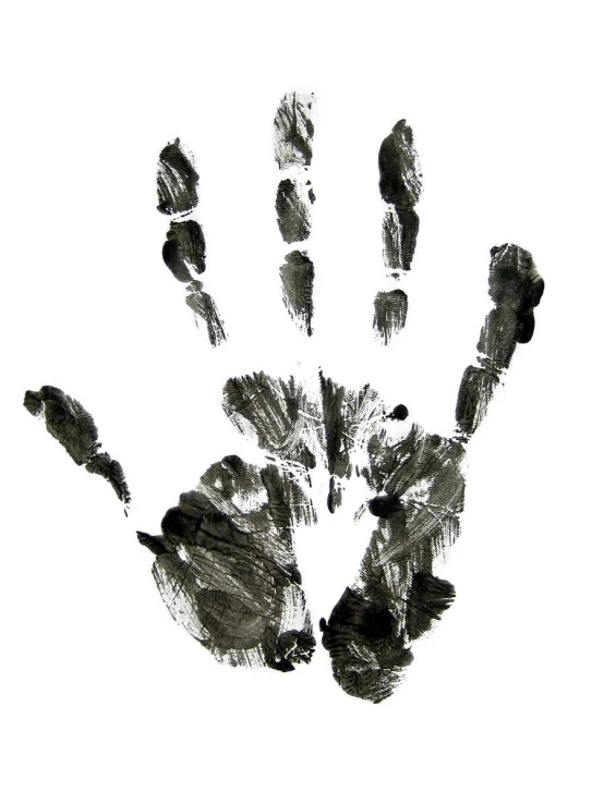 a hand print of several animals on the ground