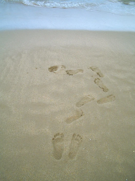 footprints of two people and dog on a sandy beach