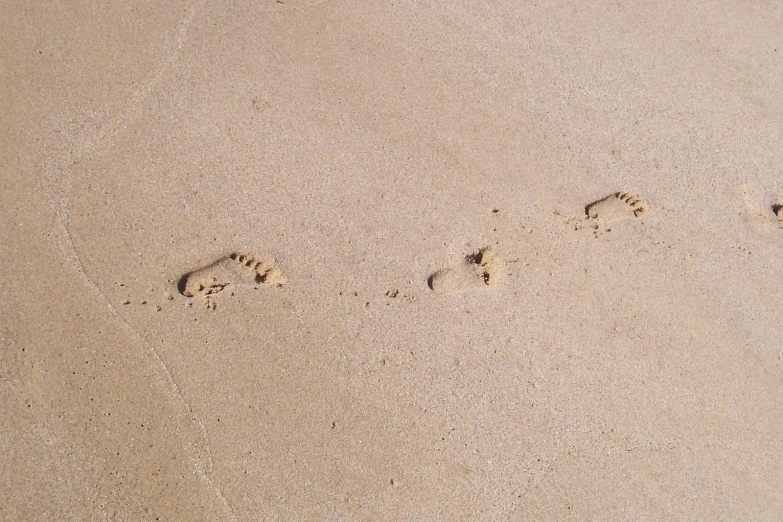 there is a couple of footprints in the sand