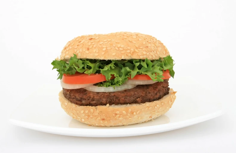 a burger is sitting on a plate