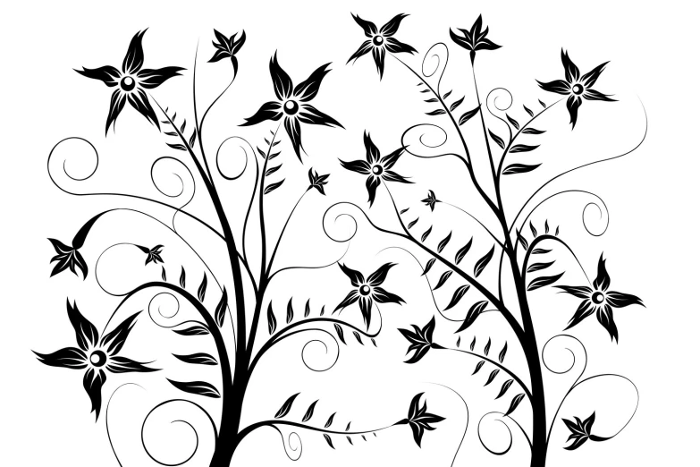 a drawing of flowers and leaves with swirly vines on it