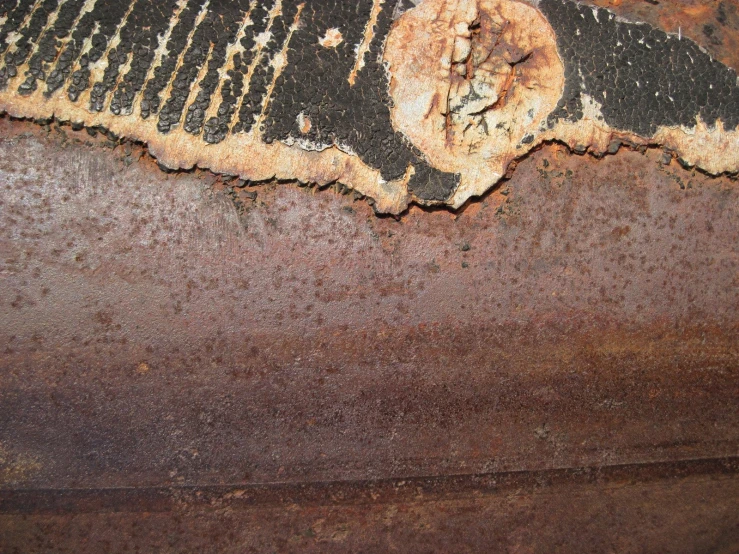 rusted iron colored material, with small marks