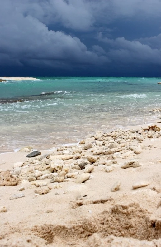 the beach is not very clean in sight