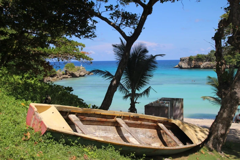 an abandoned boat next to a palm tree by the ocean