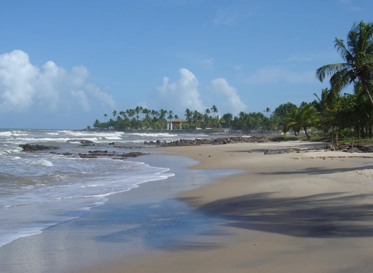 the ocean, sand and trees are clear and blue