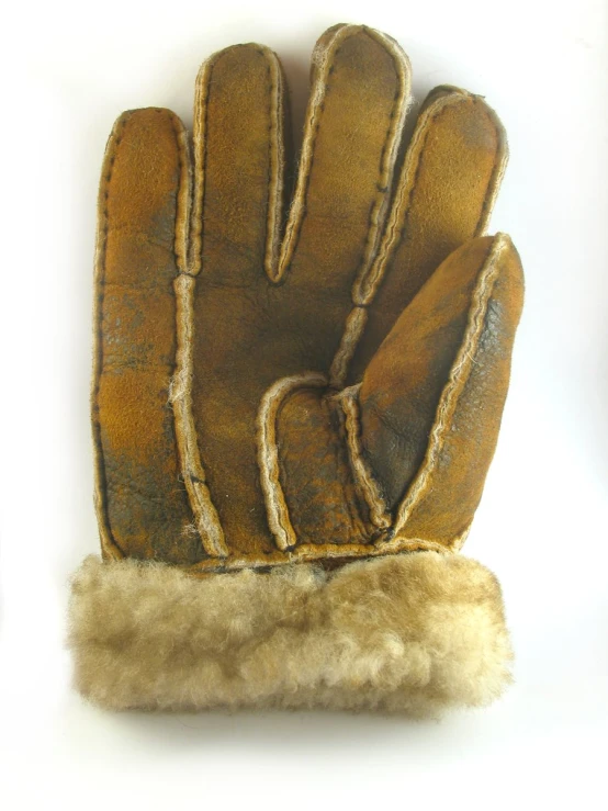 an old gloves with fur linings on the palm