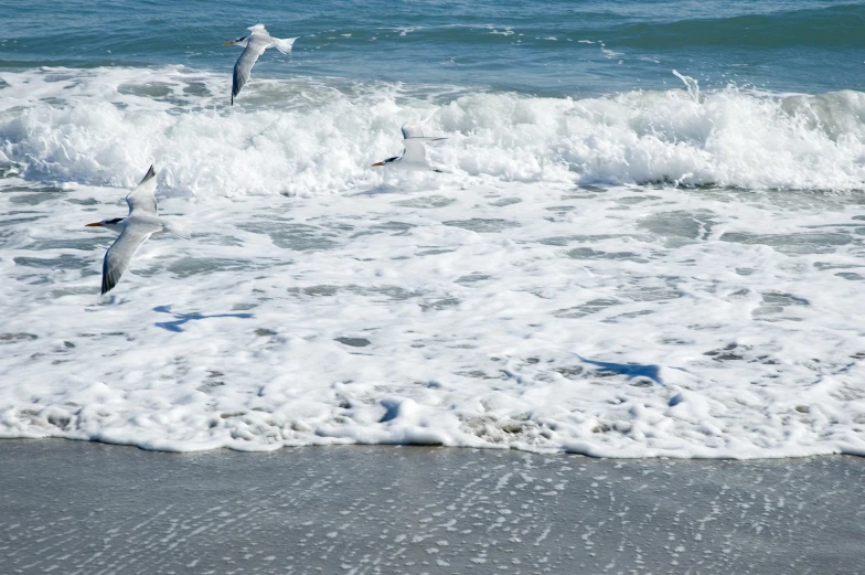 there are birds flying over the waves on the beach