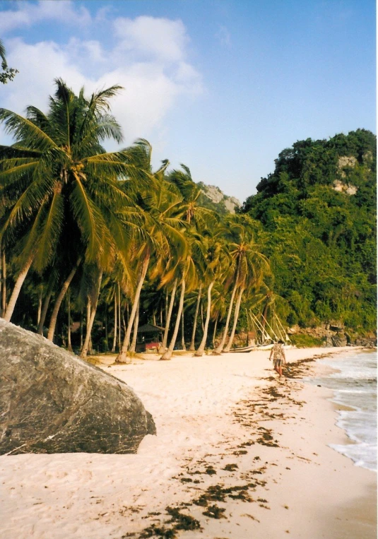 an empty sandy beach lined with palm trees