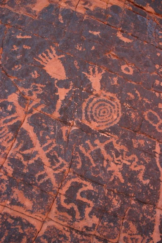 several carvings made by an animal that is on some rock