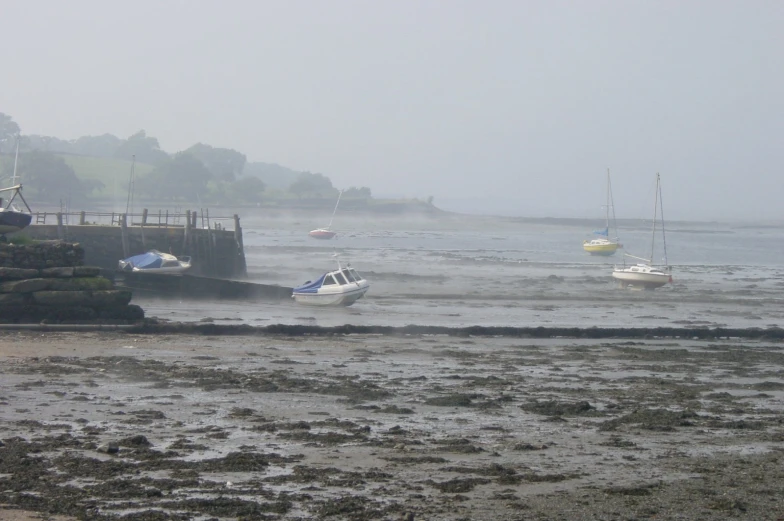 boats floating on water in between land and water