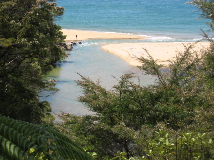 a beach surrounded by trees and people on the water
