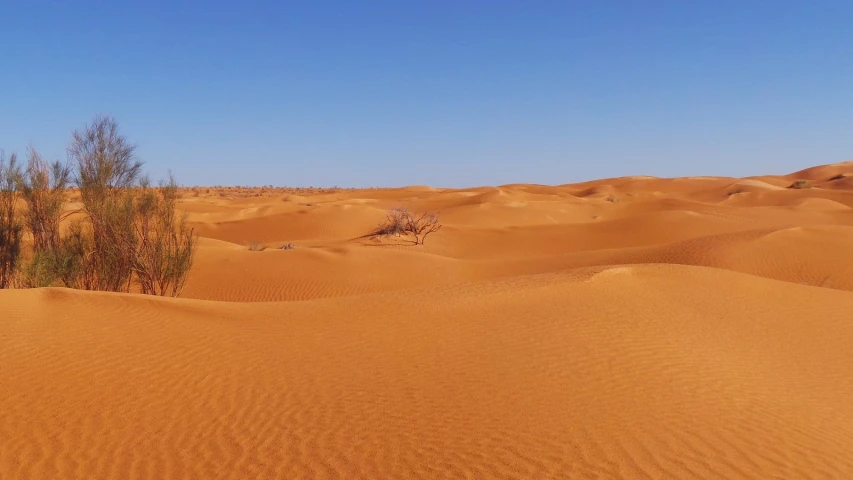 the desert looks vast and sandy as it is sunny