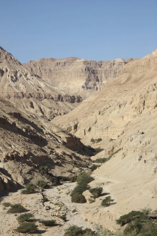 a view of some mountains, with a horse standing next to them