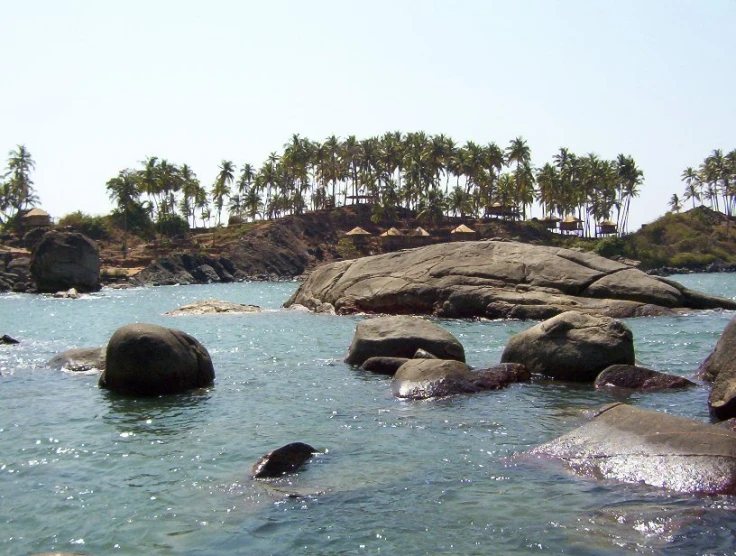 rocks in the water with palm trees in background